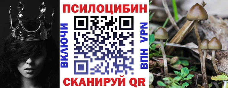 Галлюциногенные грибы MAGIC MUSHROOMS  мега ONION  Моршанск  где купить наркоту 