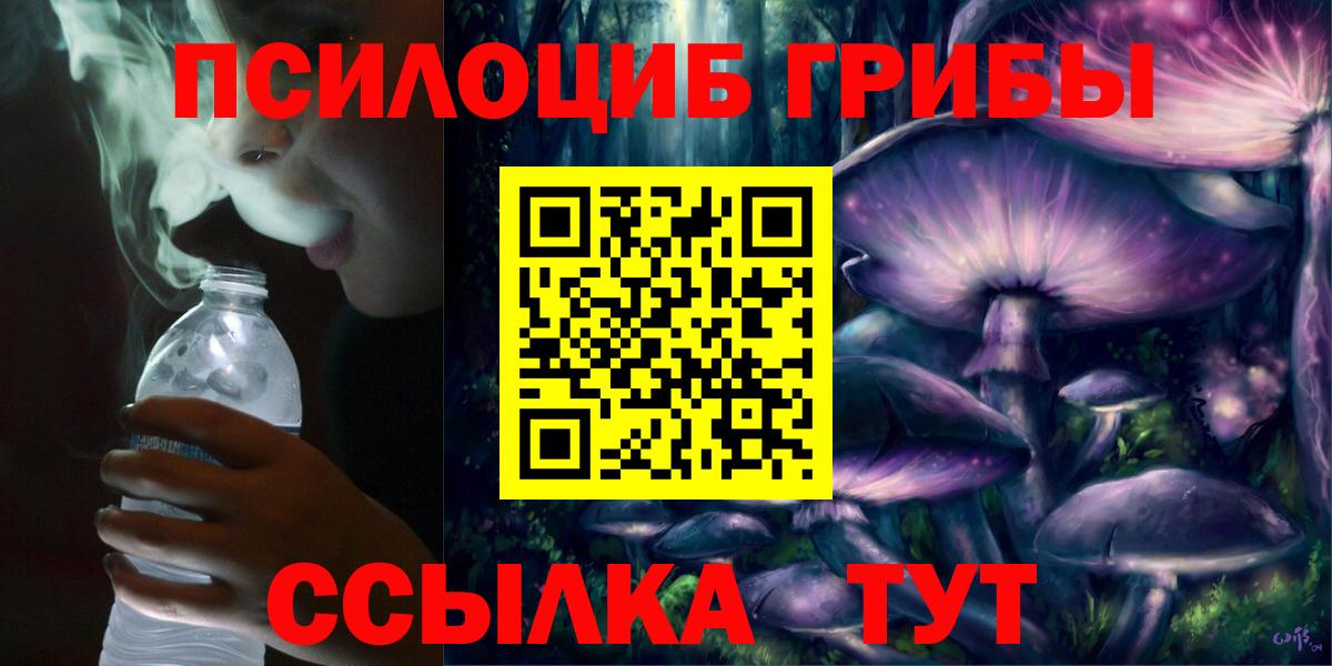 Псилоцибиновые грибы Cubensis Моршанск